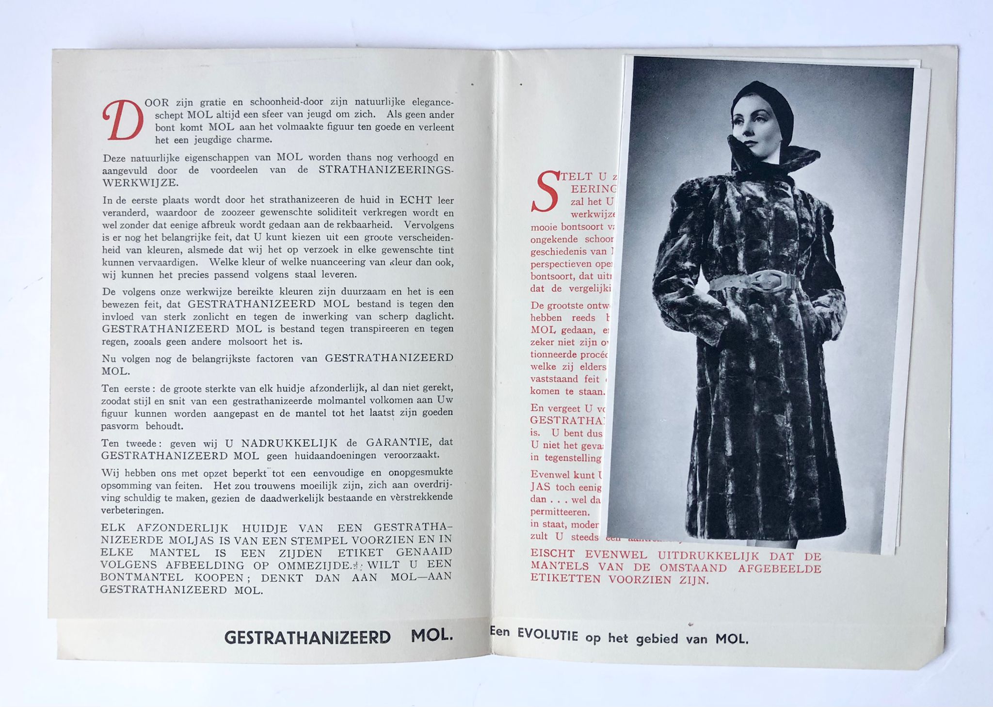 [Printed publication, fur trade] Brochure 'Gestrathanizeerd mol'. 8 pp, printed, illustrated.