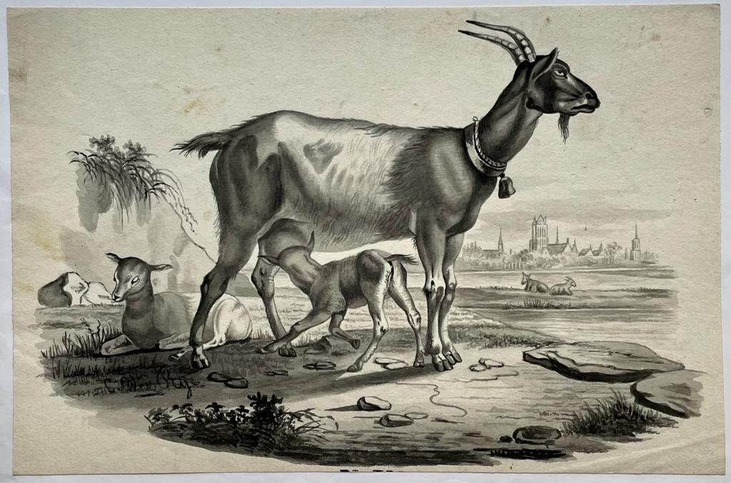 [Antique drawing, 19th century] Goats in a meadow, with a view of a city in the background (possibly Dordrecht, seen the likeness with the church tower of the Grote Kerk), made by Rije, 1 p.