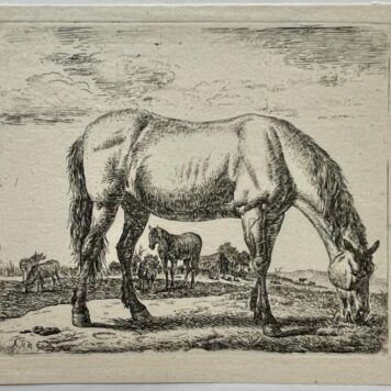 Antique Etching before 1672 - Grazing Horse [10 different animals: set title] - A. Van de Velde, published before 1672, 1 p.