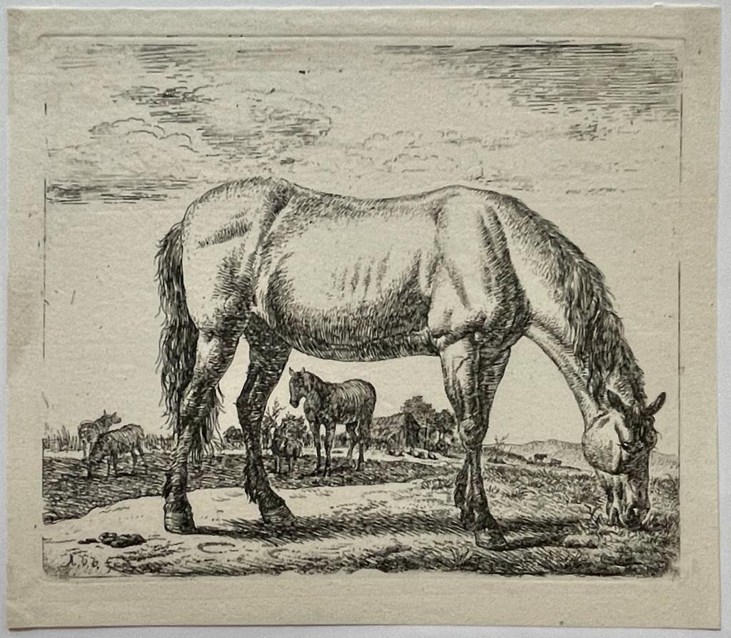 Antique Etching before 1672 - Grazing Horse [10 different animals: set title] - A. Van de Velde, published before 1672, 1 p.