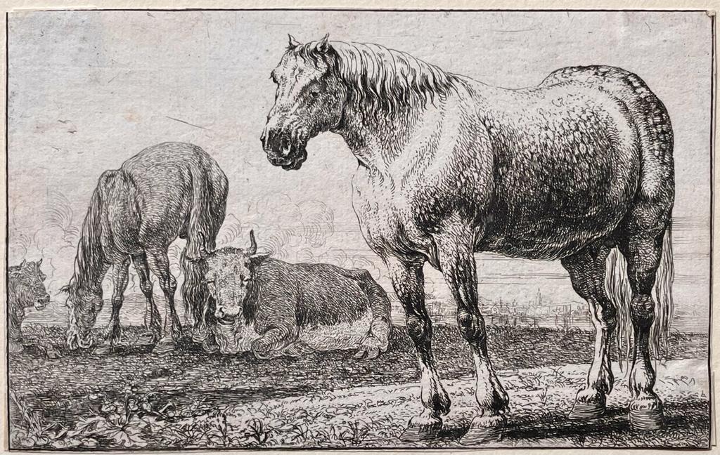 [Antique prints, etchings, 1656] The set of the animals / Dieren / Zoographiam /, published 1656, 12 pp.