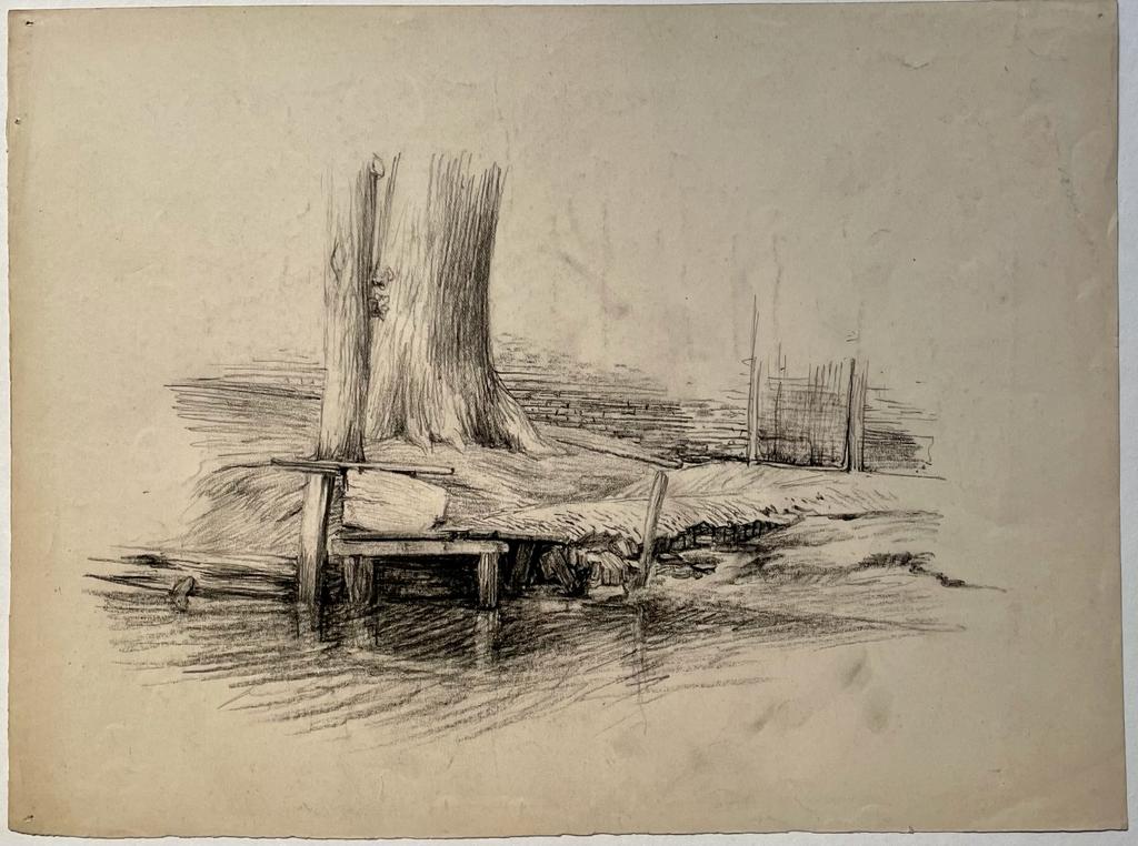 [Modern drawing, black chalk] Five drawings of trees by the water, ca. 1920-1940, 1 p.