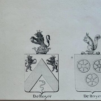 Wapenkaart/Coat of Arms: Coloured coat of arms Royer de Dour (de) family, 1 p.