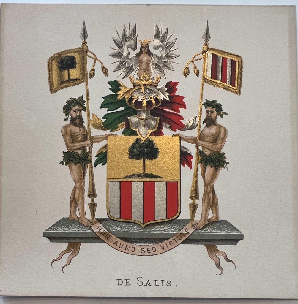 [Heraldic coat of arms] Coloured coat of arms of the De Salis family, family crest, 1 p.
