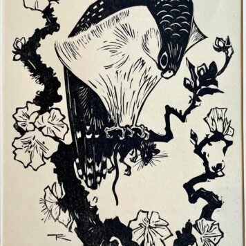 Original woodcut Bird of Prey by Ten Klooster published before 1940.