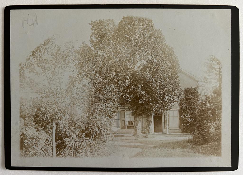 N.N. - Photography ca 1904 I Photo on cardboard of 'Huis Ds. W. in Olst'. Huis met bomen.