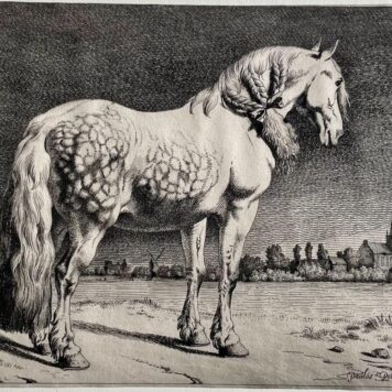 Antique print the Frisian Horse by Ignace-Joseph de Claussin.