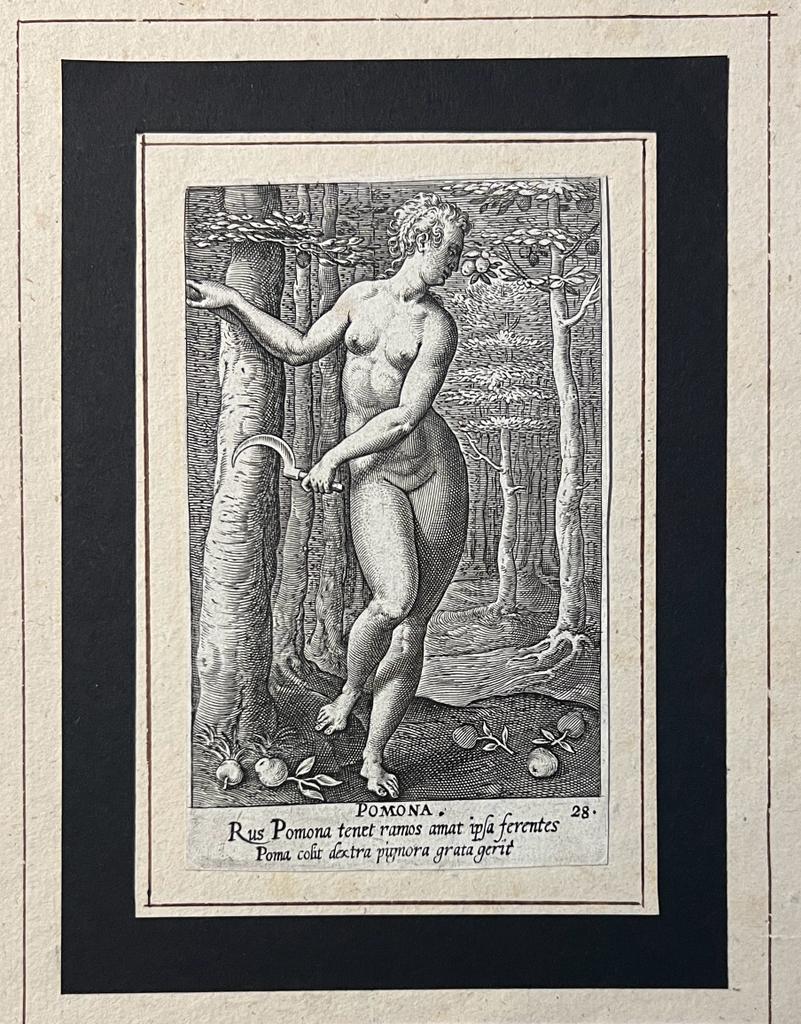  - Bookillustration reproduction | Portrait print of goddess Pomona, numbered 28, 1 p.