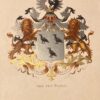 [Heraldic coat of arms] Coloured coat of arms of the Van der Borch family, family crest, 1 p.