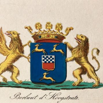 [Heraldic coat of arms] Coloured coat of arms of the Borluut d' Hoogstrate family, family crest, 1 p.