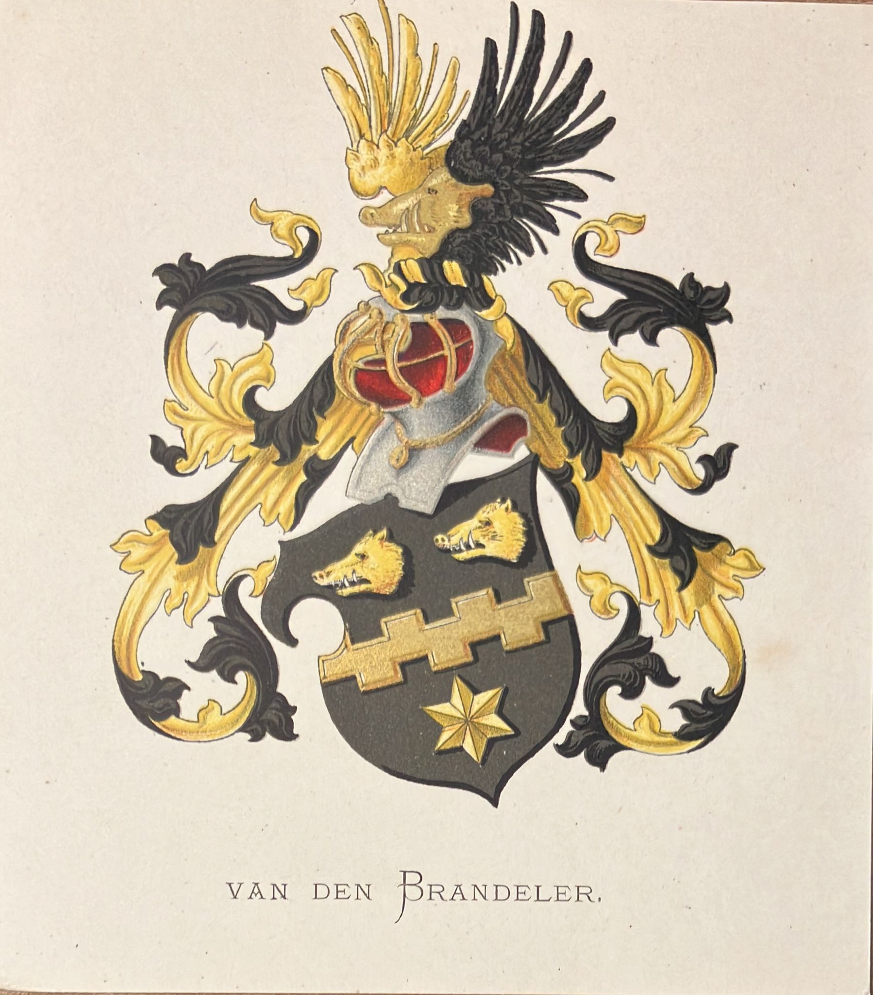 Coloured coat of arms of the van den Brandeler family