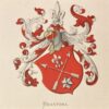 [Heraldic coat of arms] Coloured coat of arms of the Brantsma family, family crest, 1 p.