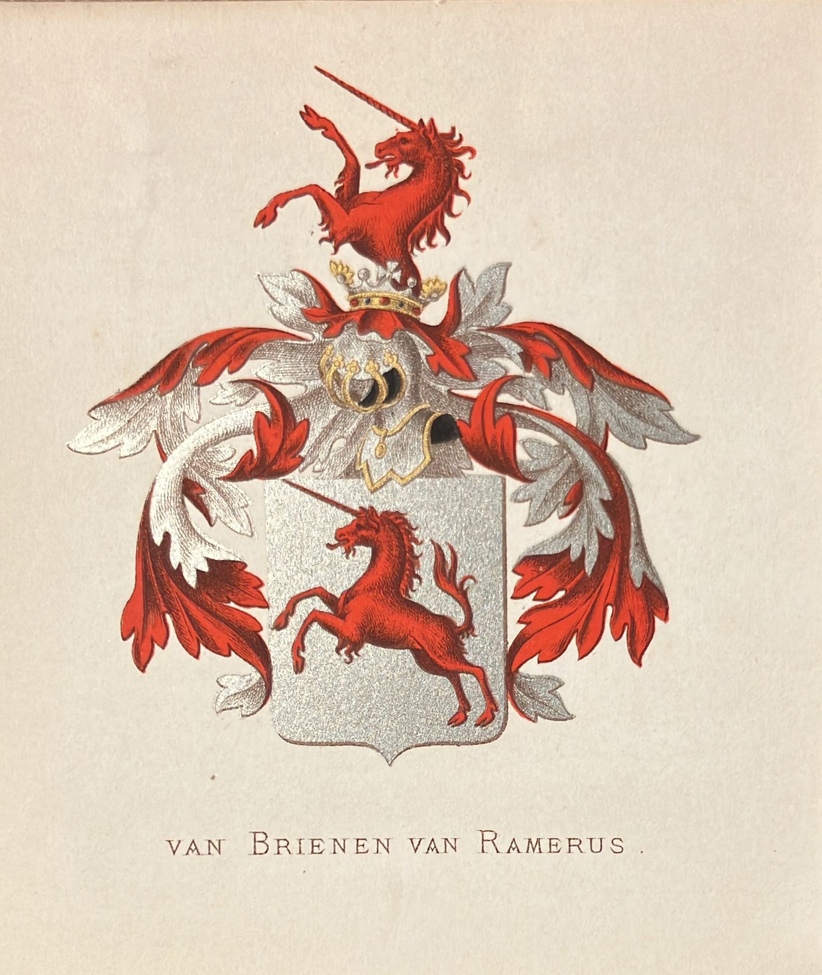 Coloured coat of arms of the van Brienen van Ramerus family