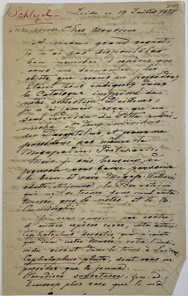Manuscript Hermann Schlegel to zoologist Henri Milne Edwards Leiden 1875
