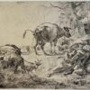 Antique print etching the pissing cow by Nicolaes Berchem.