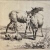Antique print Sheep and lamb by Nicolaes Berchem.