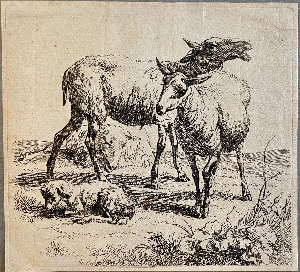 Antique print Sheep and lamb by Nicolaes Berchem.