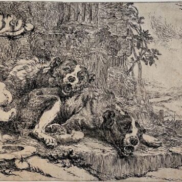 Antique print etching Two dogs sleeping by Joannes Fijt.