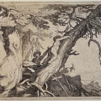 Antique print engraving Knotty trees by Frederick Bloemaert.