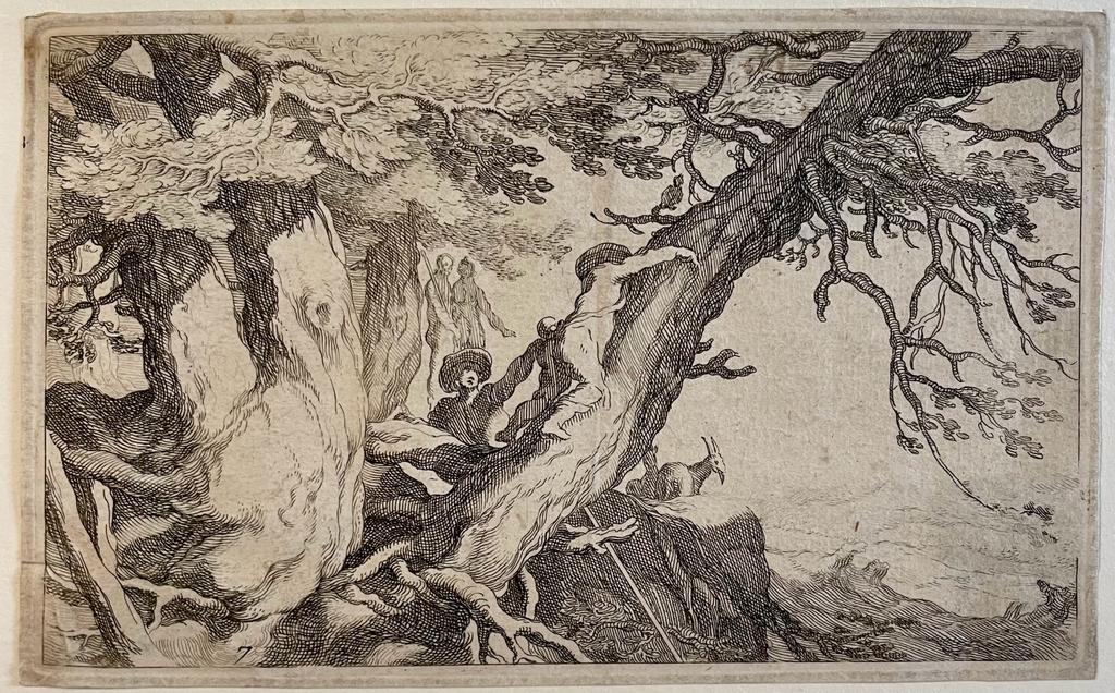 Antique print engraving Knotty trees by Frederick Bloemaert.