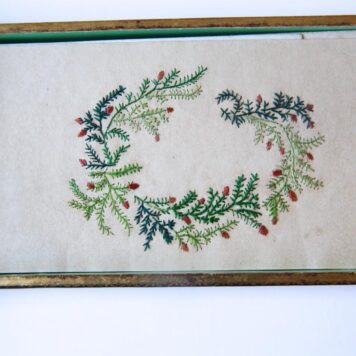 Album amicorum in de vorm van een oblong doosje met losse blaadjes van Keetje Bisschop, met ruim 30 bijdragen uit de jaren 1840-1857.