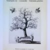 Catalogue 10: Genealogieën van - voornamelijk - Nederlandse geslachten