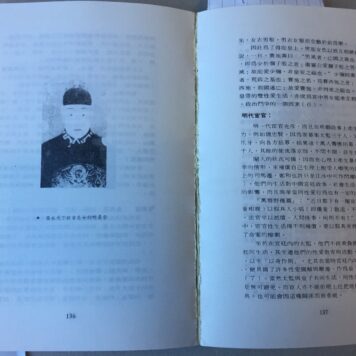 Zhongguo Tongxingai Shilu ( History of homosexuality in China )