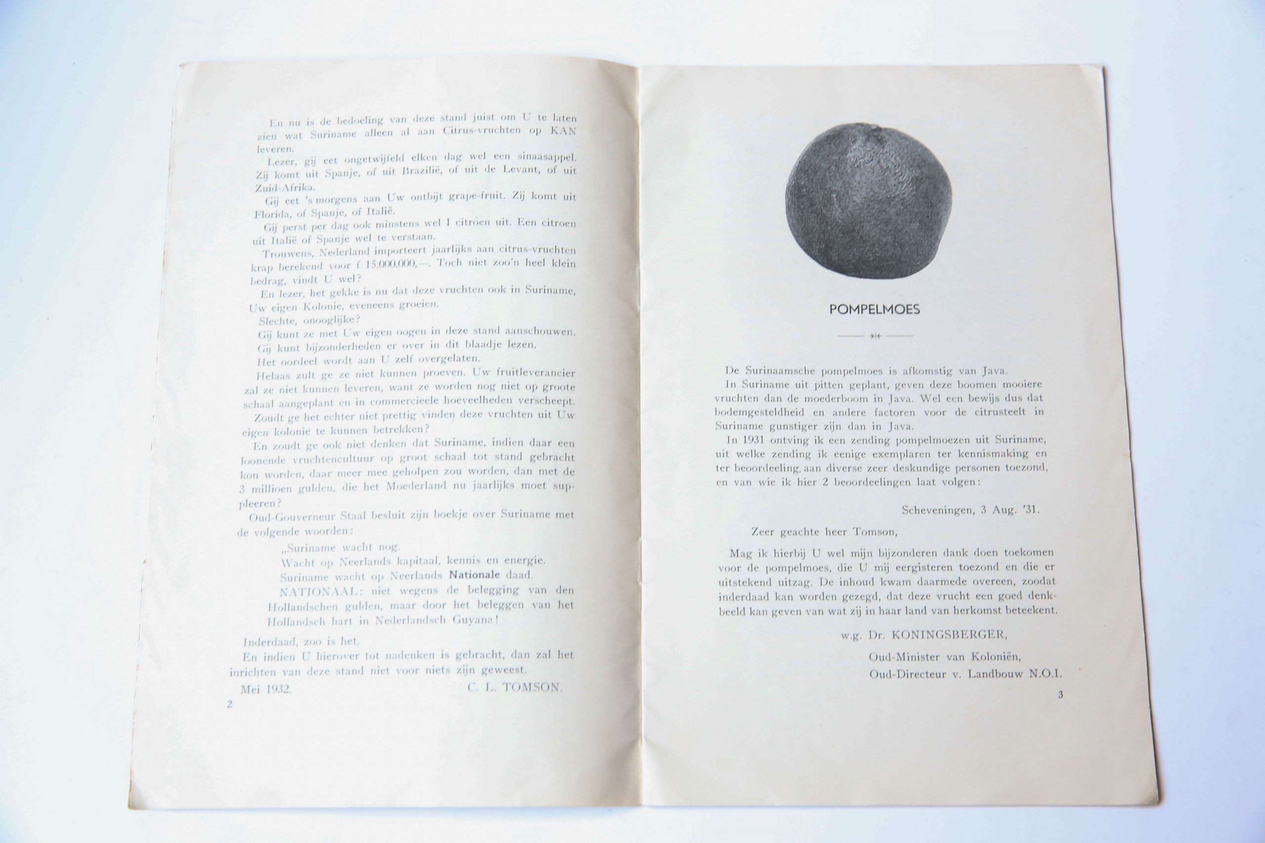  - WEST-INDI Brochure betr. de inzending Surinaamse citrusvruchten op de Indische Tentoonstelling in het Westbroekpark te s-Gravenhage, 1932. Ingezonden door C.L. Tomson te s-Gravenhage, 14 p., gell.